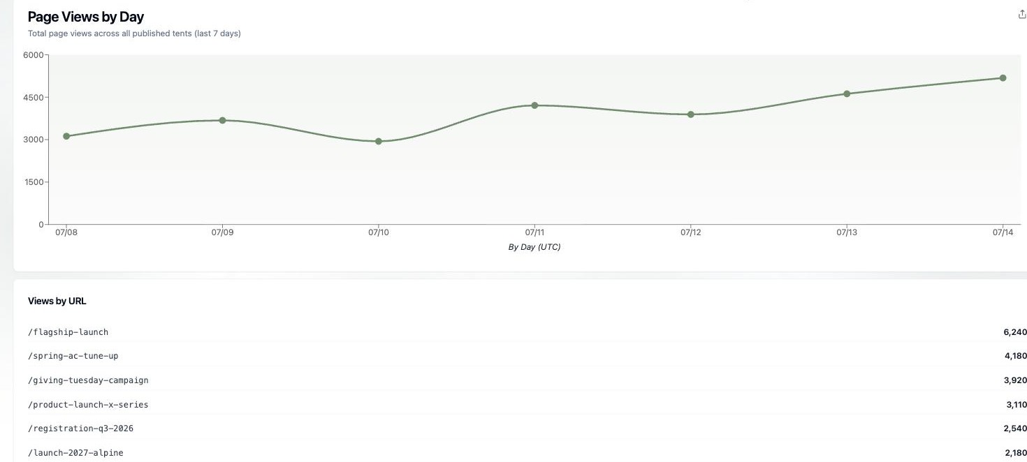 Pages analytics showing page views by day trending up and a Views by URL breakdown ranking the top pages by views